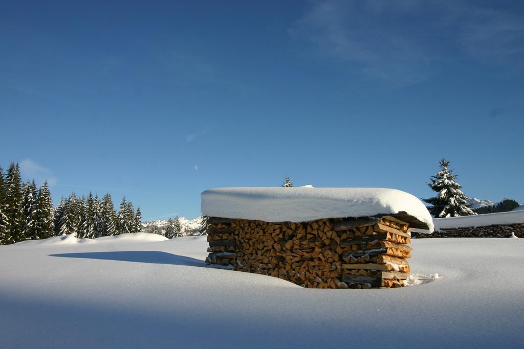 Chalet Genepi มงทริองด์ ภายนอก รูปภาพ